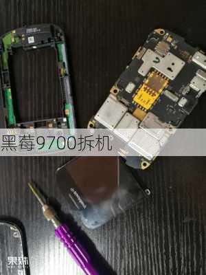 黑莓9700拆机