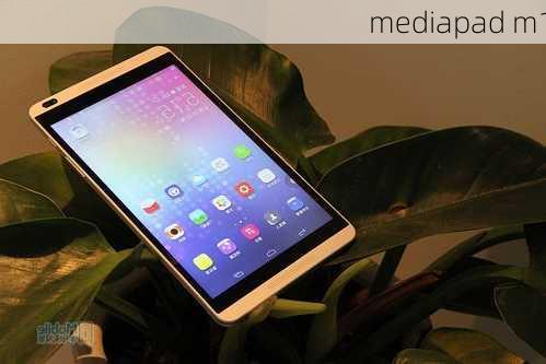 mediapad m1