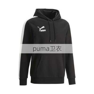 puma卫衣