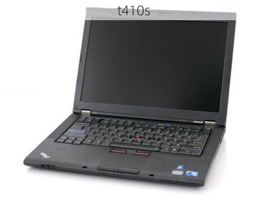 t410s