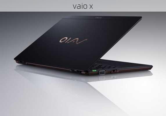 vaio x