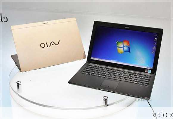 vaio x