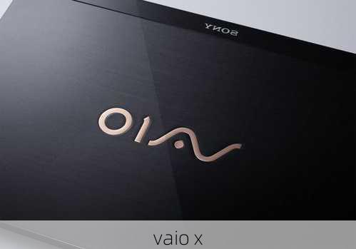 vaio x