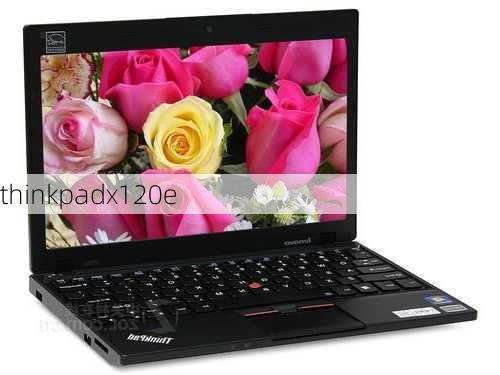 thinkpadx120e