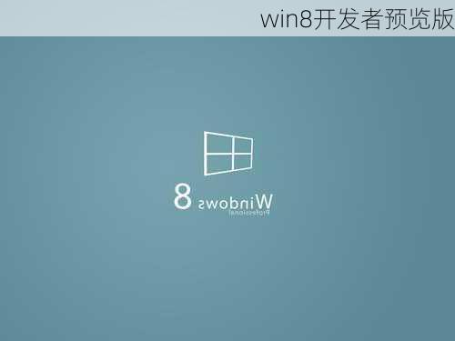 win8开发者预览版