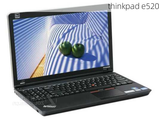 thinkpad e520