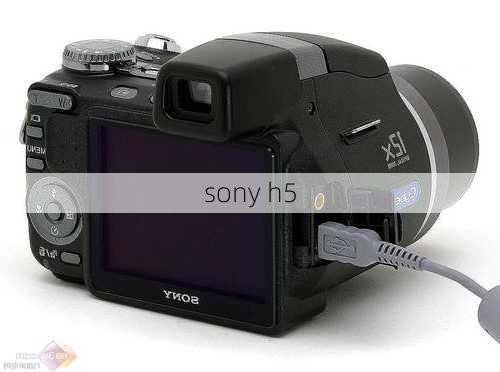 sony h5