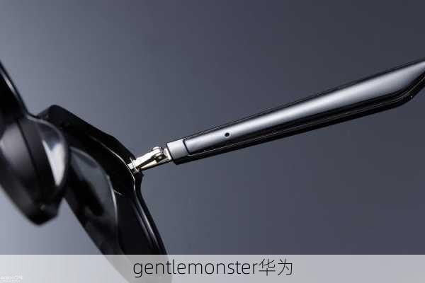 gentlemonster华为