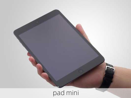 pad mini