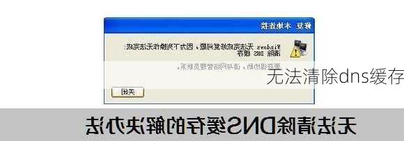 无法清除dns缓存