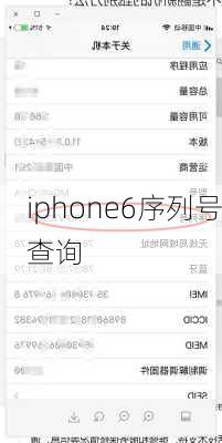 iphone6序列号查询