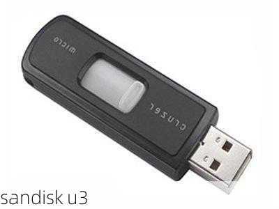 sandisk u3