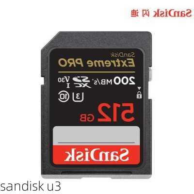 sandisk u3