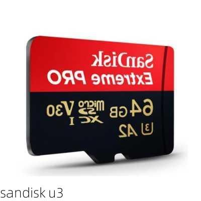 sandisk u3