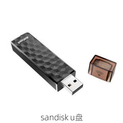 sandisk u盘