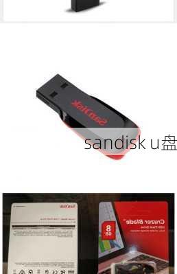 sandisk u盘