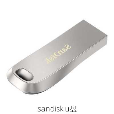 sandisk u盘