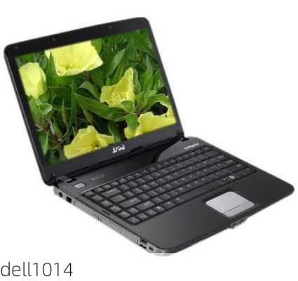 dell1014