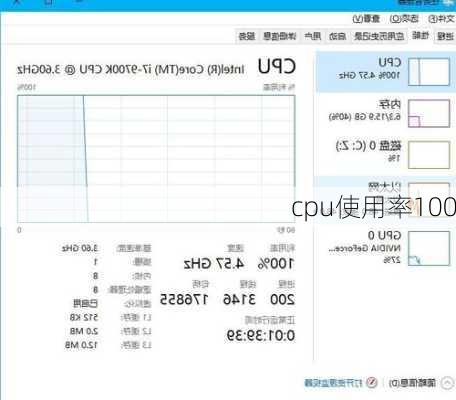 cpu使用率100