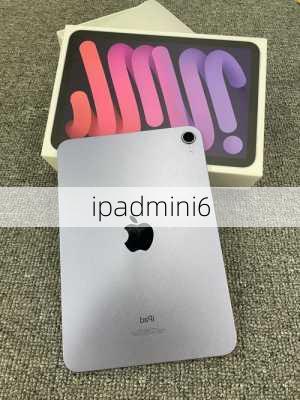 ipadmini6