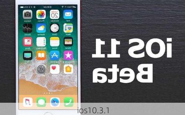 ios10.3.1