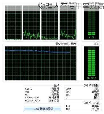 物理内存使用率过高