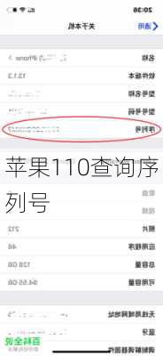 苹果110查询序列号