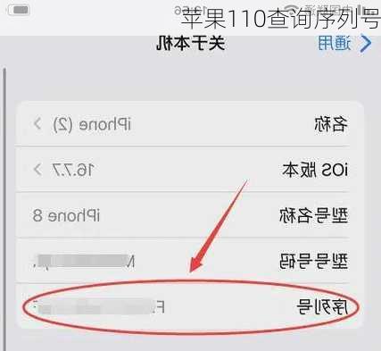 苹果110查询序列号