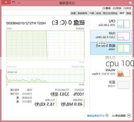 cpu 100
