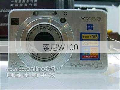 索尼W100