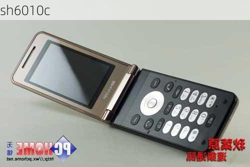 sh6010c