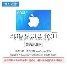 app store 充值