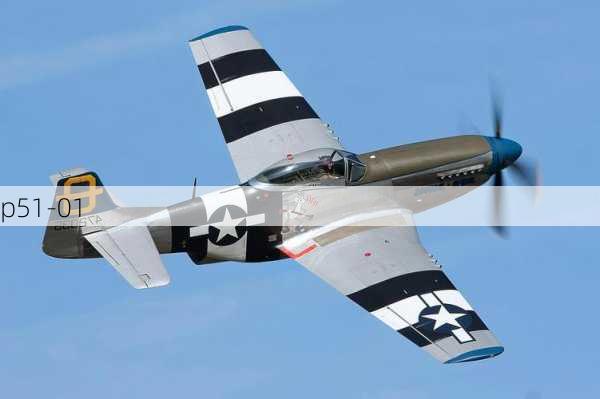 p51-01