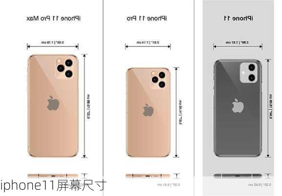 iphone11屏幕尺寸