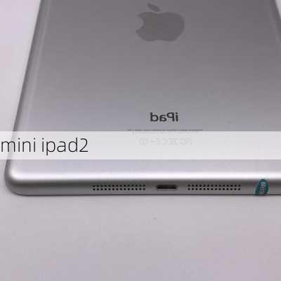 mini ipad2