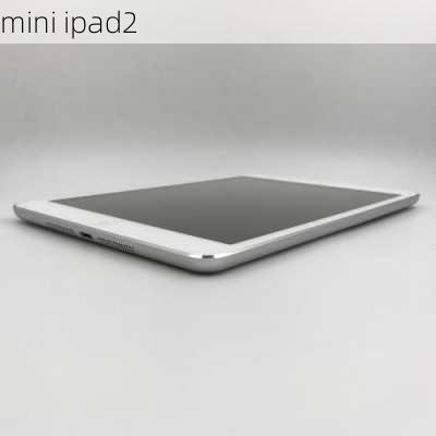 mini ipad2