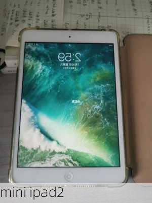 mini ipad2