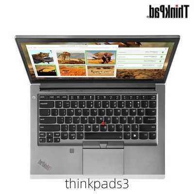 thinkpads3