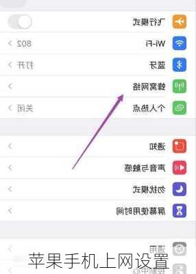 苹果手机上网设置