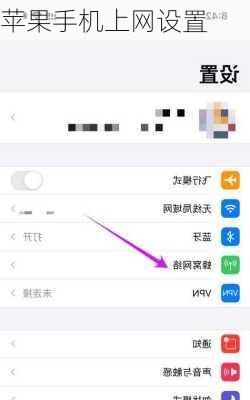 苹果手机上网设置