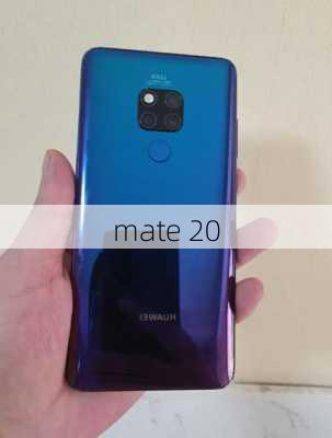 mate 20