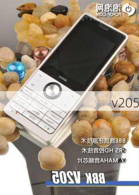 v205