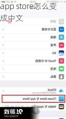 app store怎么变成中文