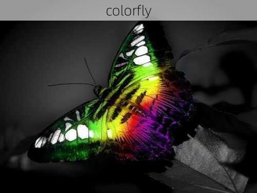 colorfly