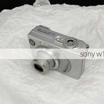 sony w1