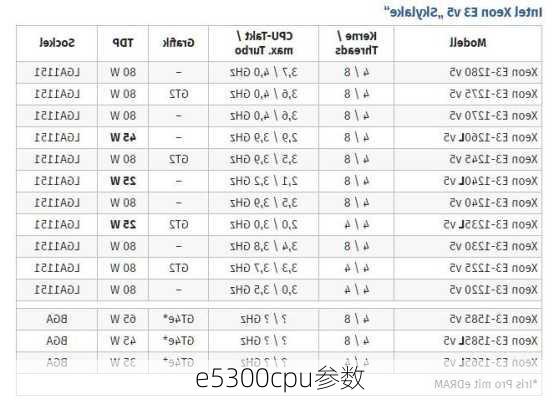 e5300cpu参数