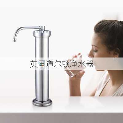 英国道尔顿净水器