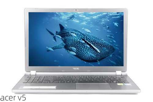 acer v5