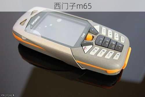 西门子m65