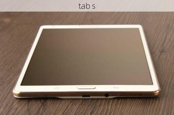 tab s